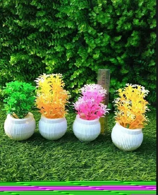 Colorful Artificial Cactus in White Pots for Home Decor